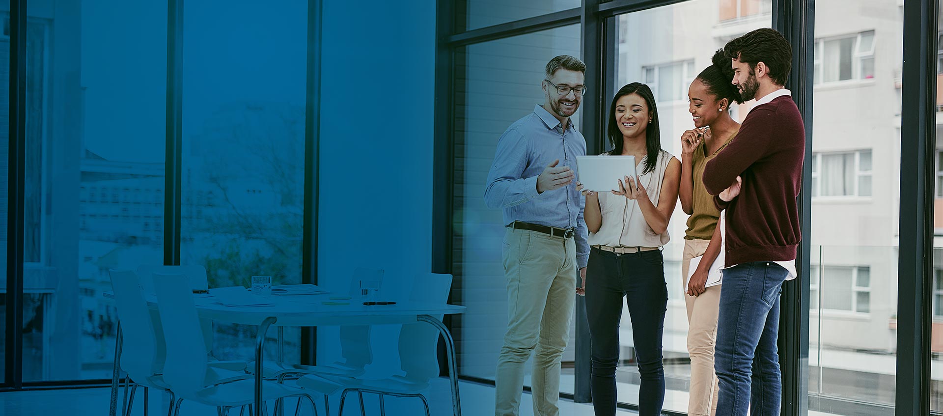 DVSAnalytics Partner